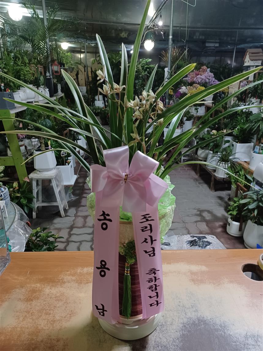배송사진