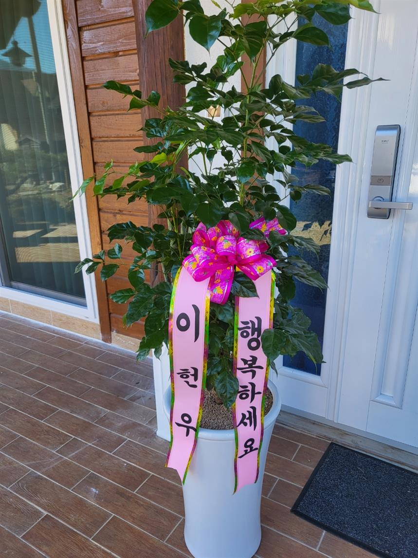 배송사진