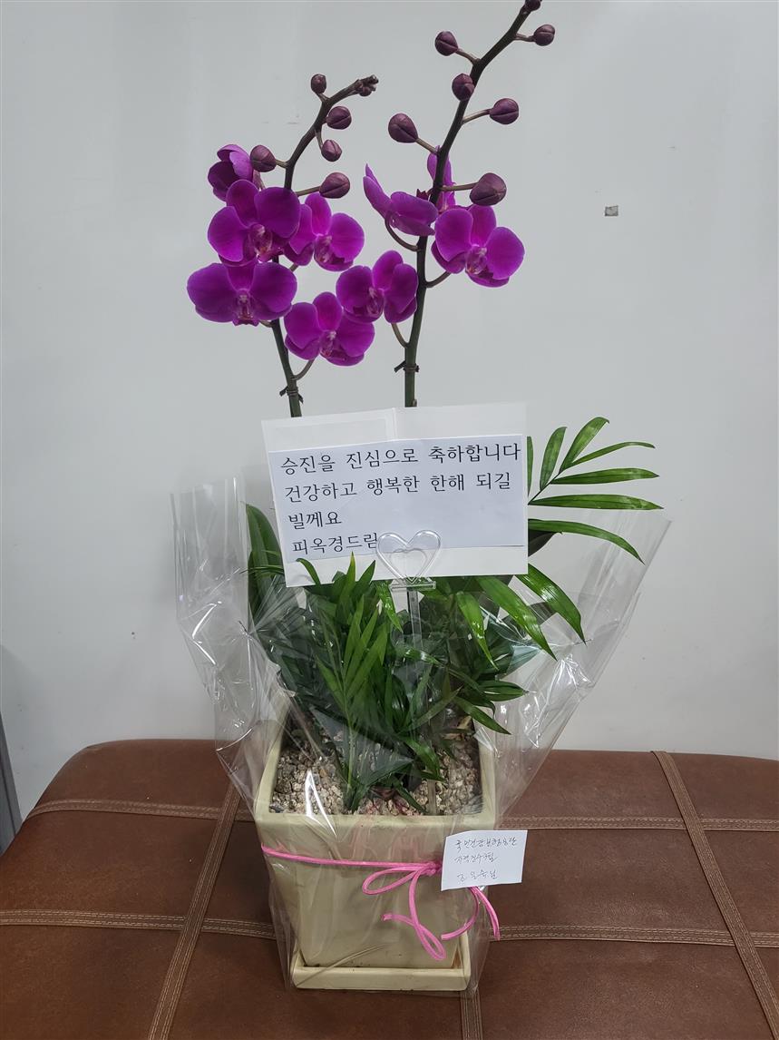 배송사진