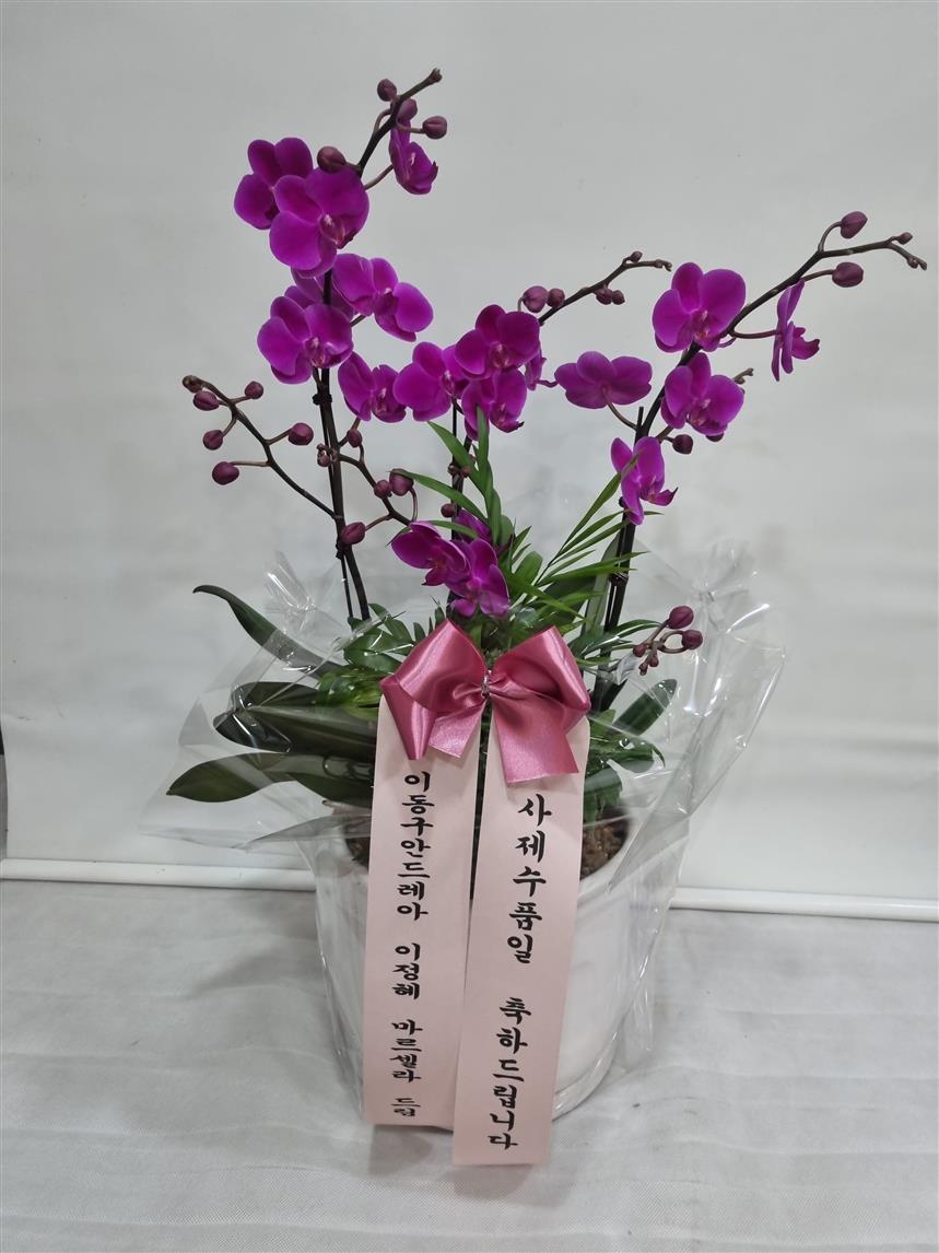 배송사진