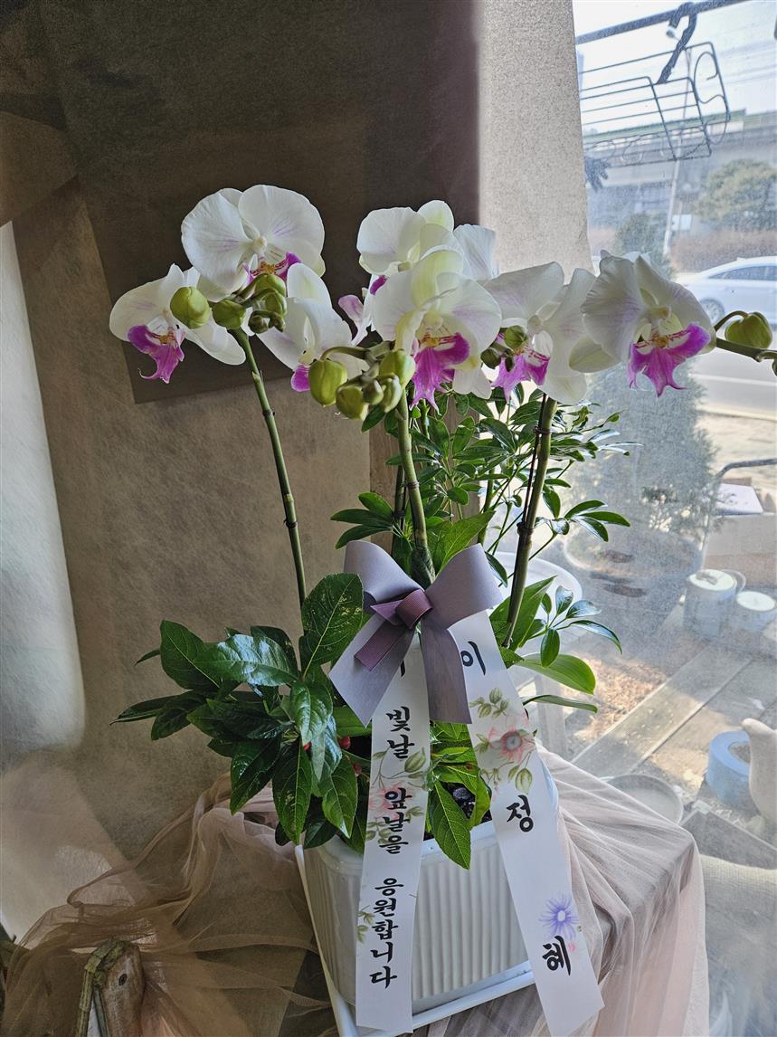 배송사진