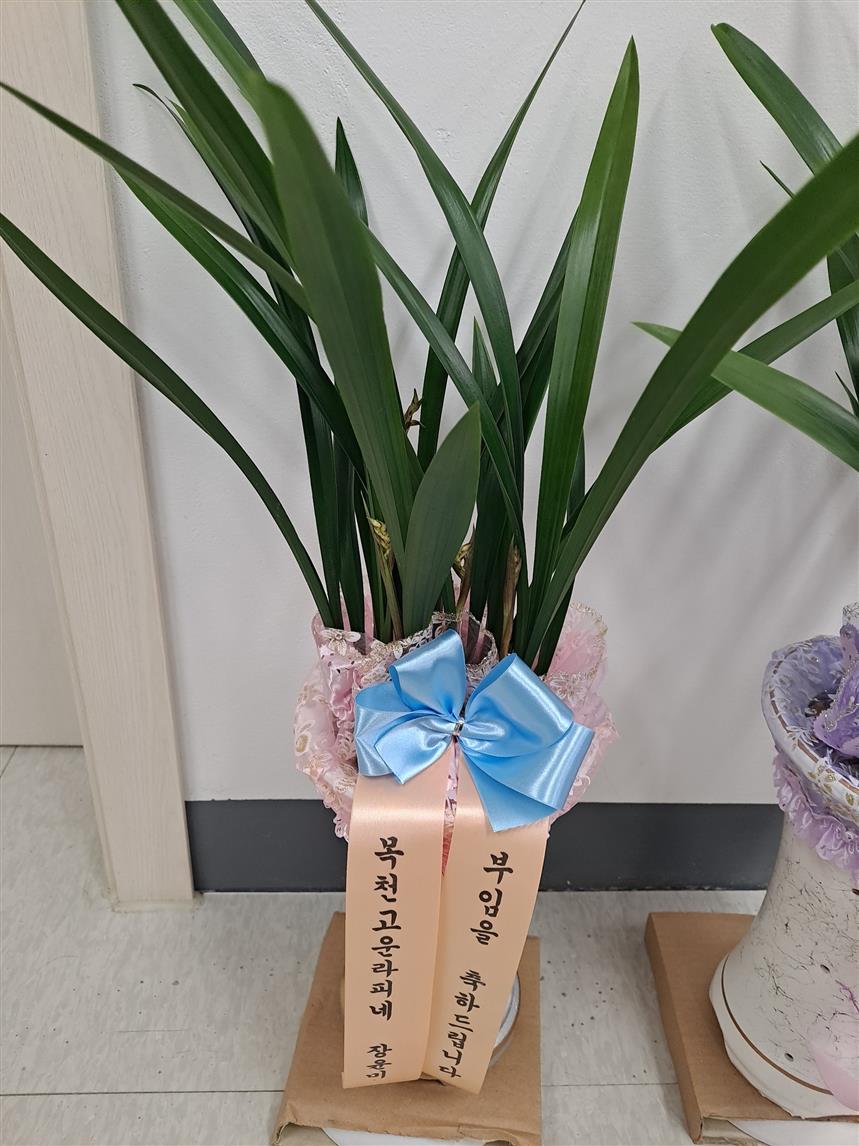 배송사진