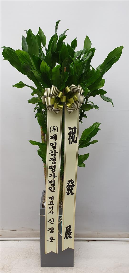 배송사진2