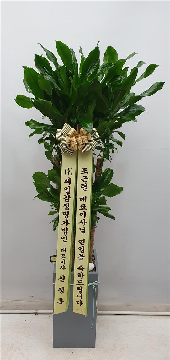 배송사진2