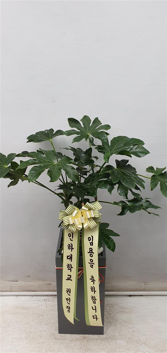 배송사진2