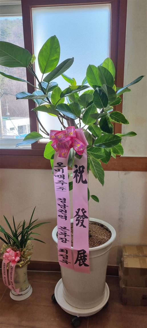 배송사진
