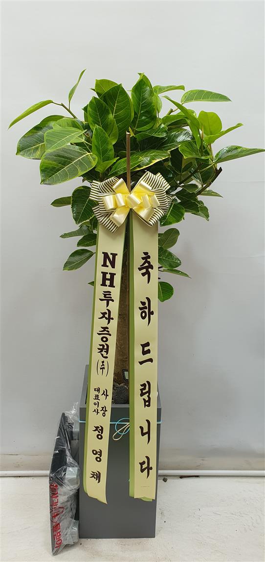 배송사진2