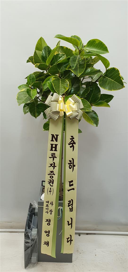 배송사진2