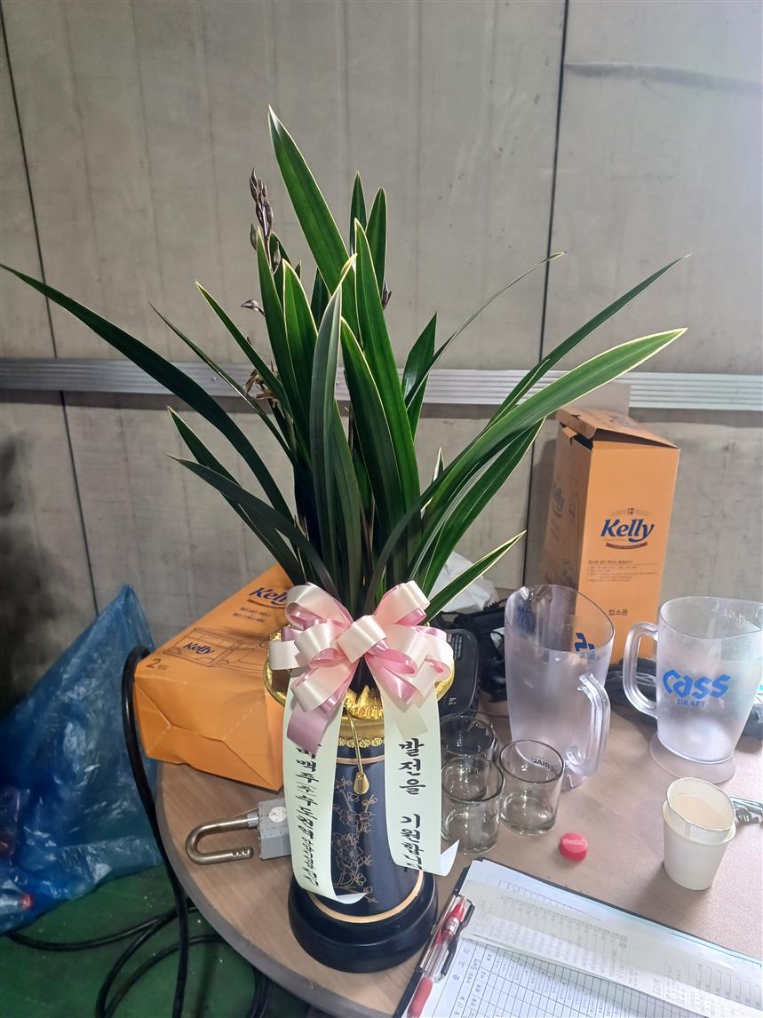 배송사진