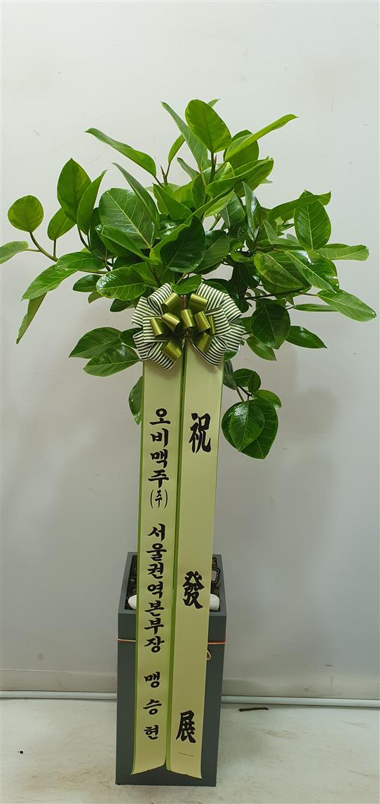 배송사진2