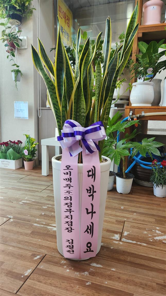 배송사진