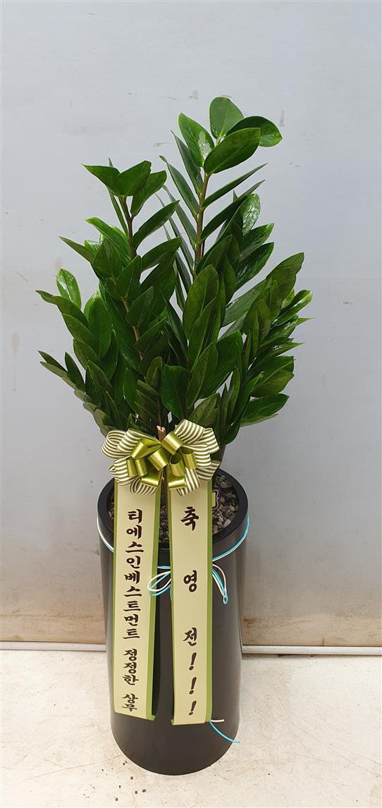 배송사진2