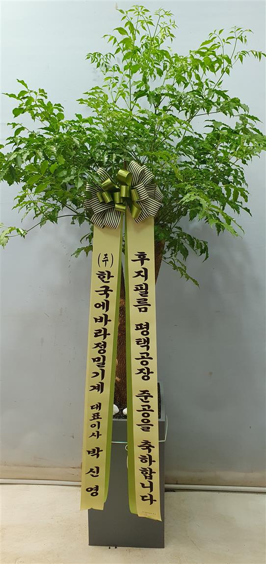 배송사진