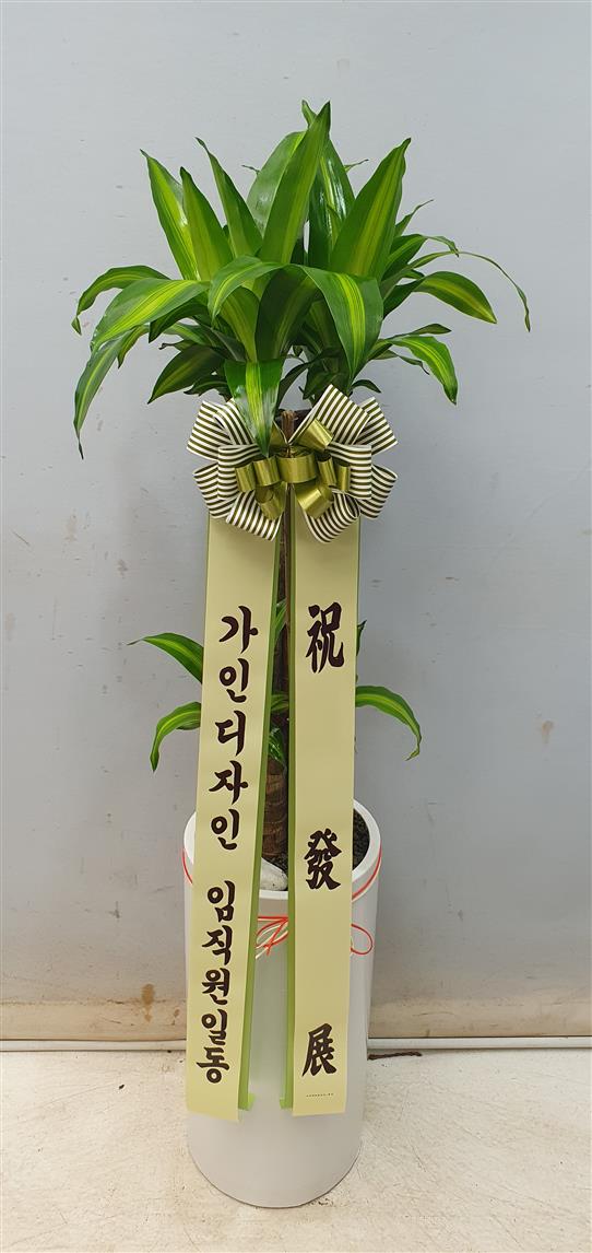 배송사진2