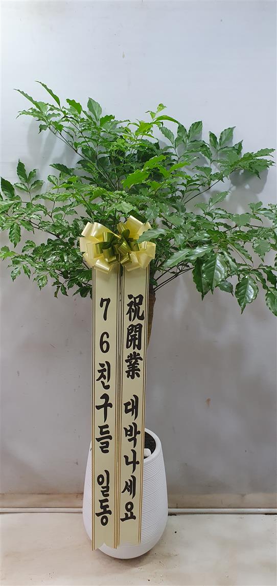 배송사진2