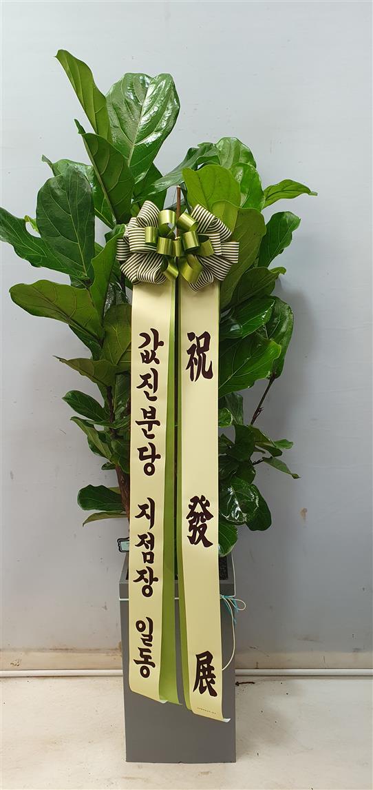 배송사진