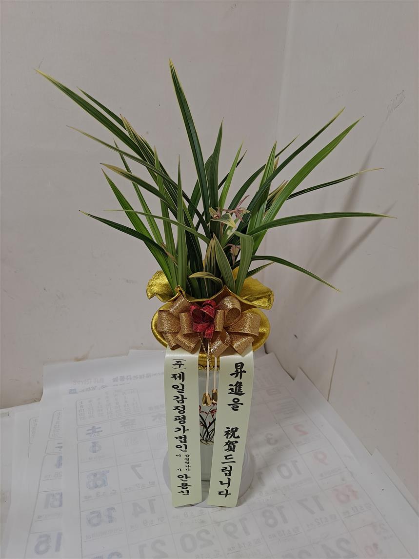 배송사진