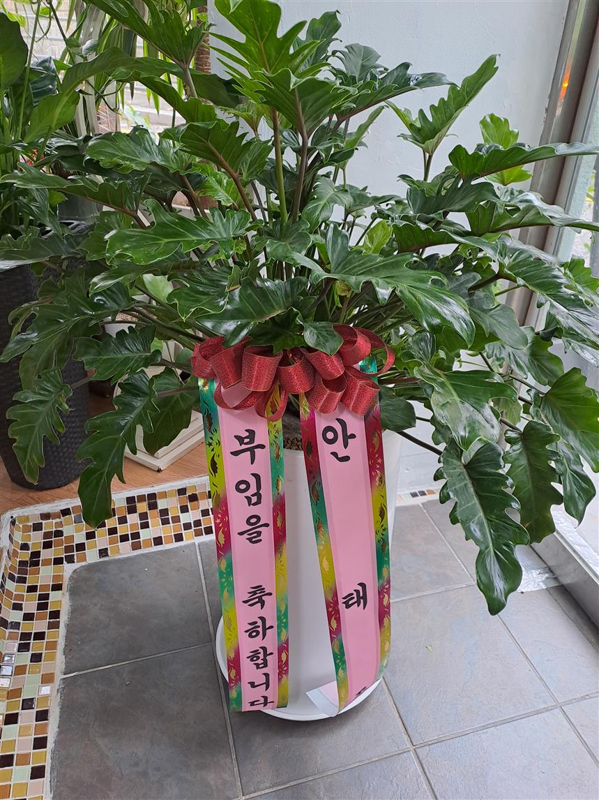 배송사진2
