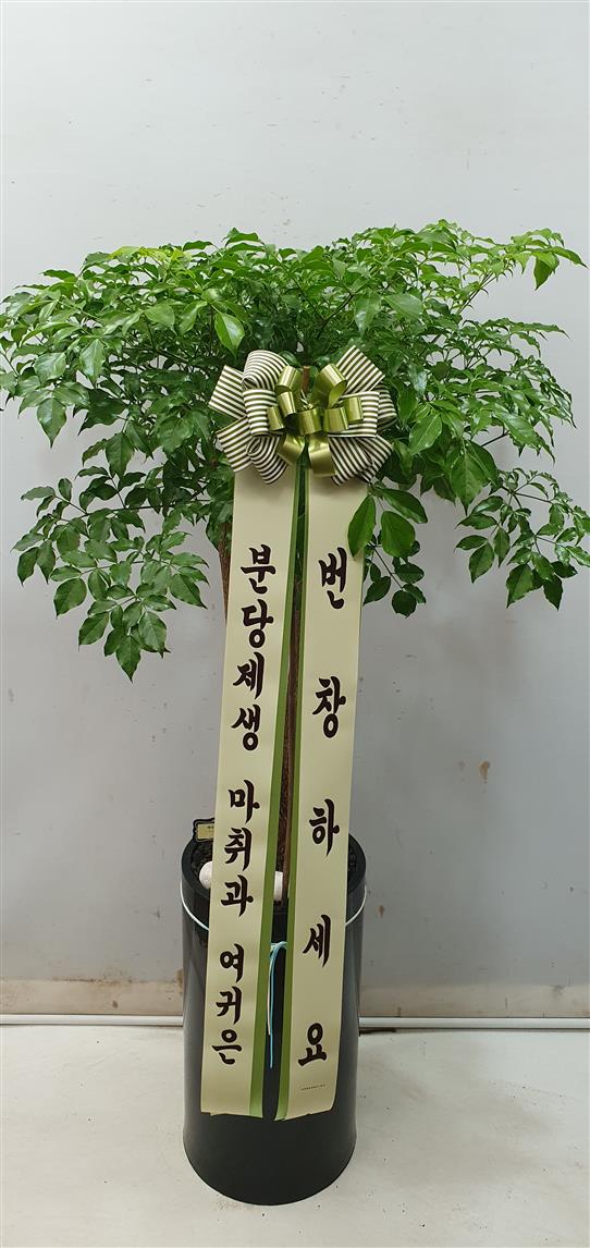 배송사진2