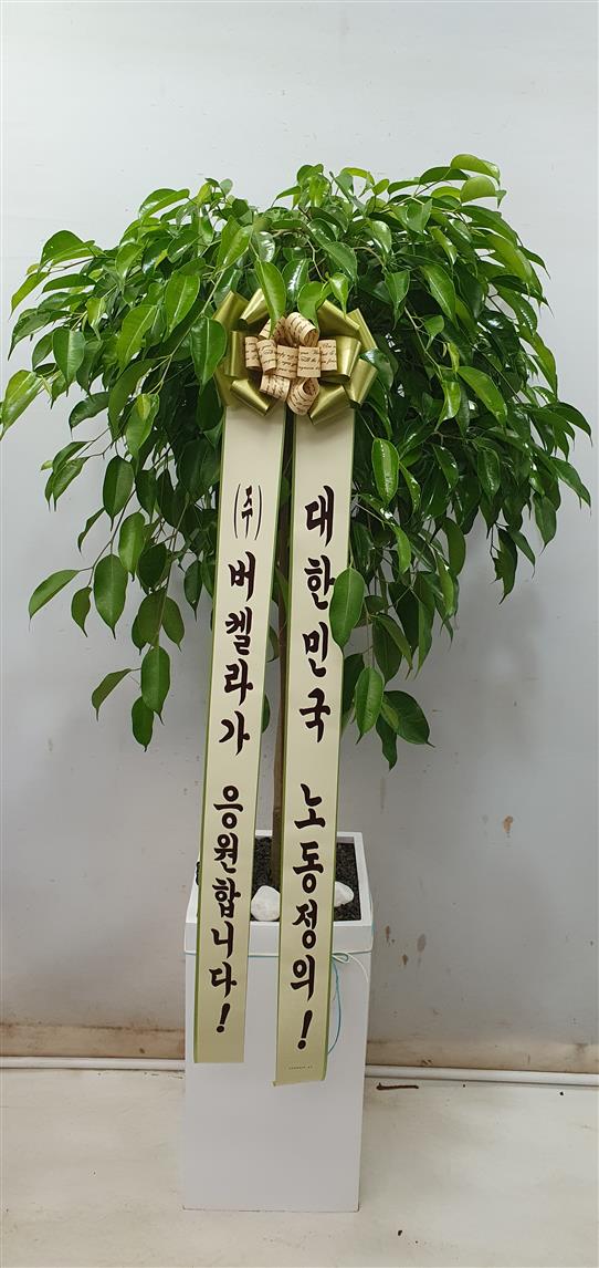 배송사진2