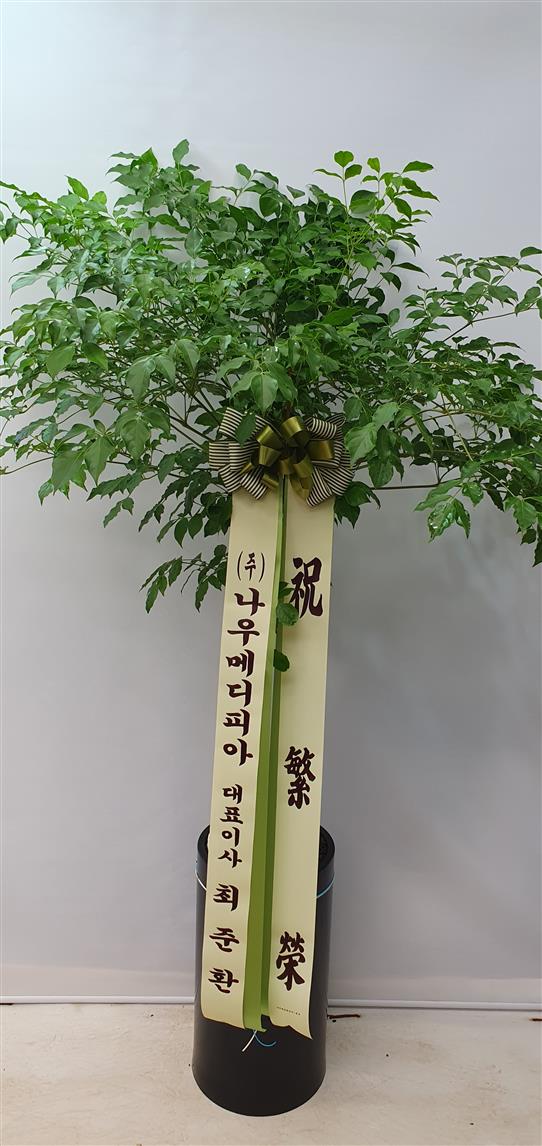 배송사진2