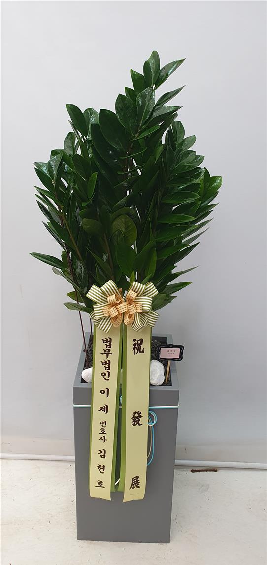배송사진2