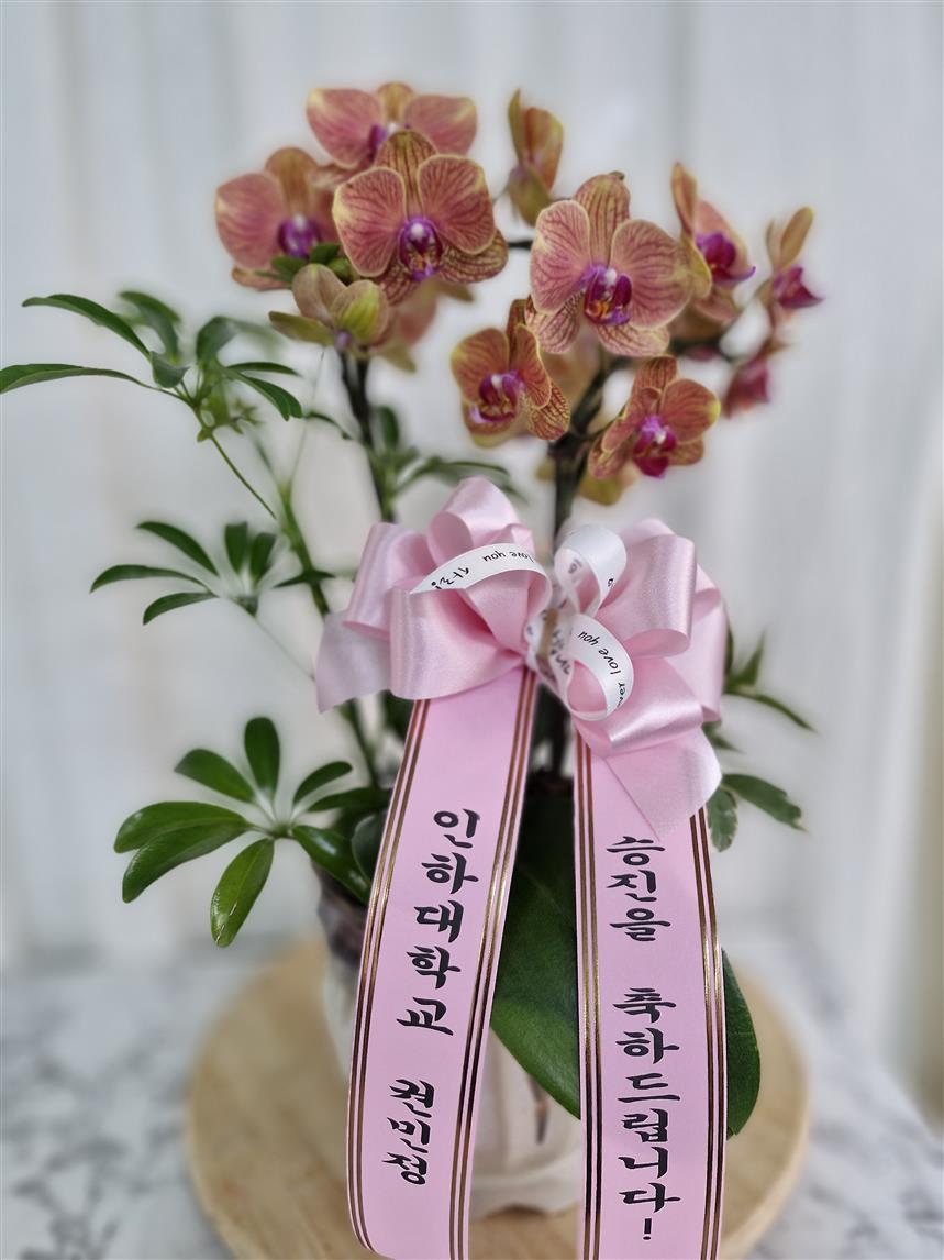 배송사진2