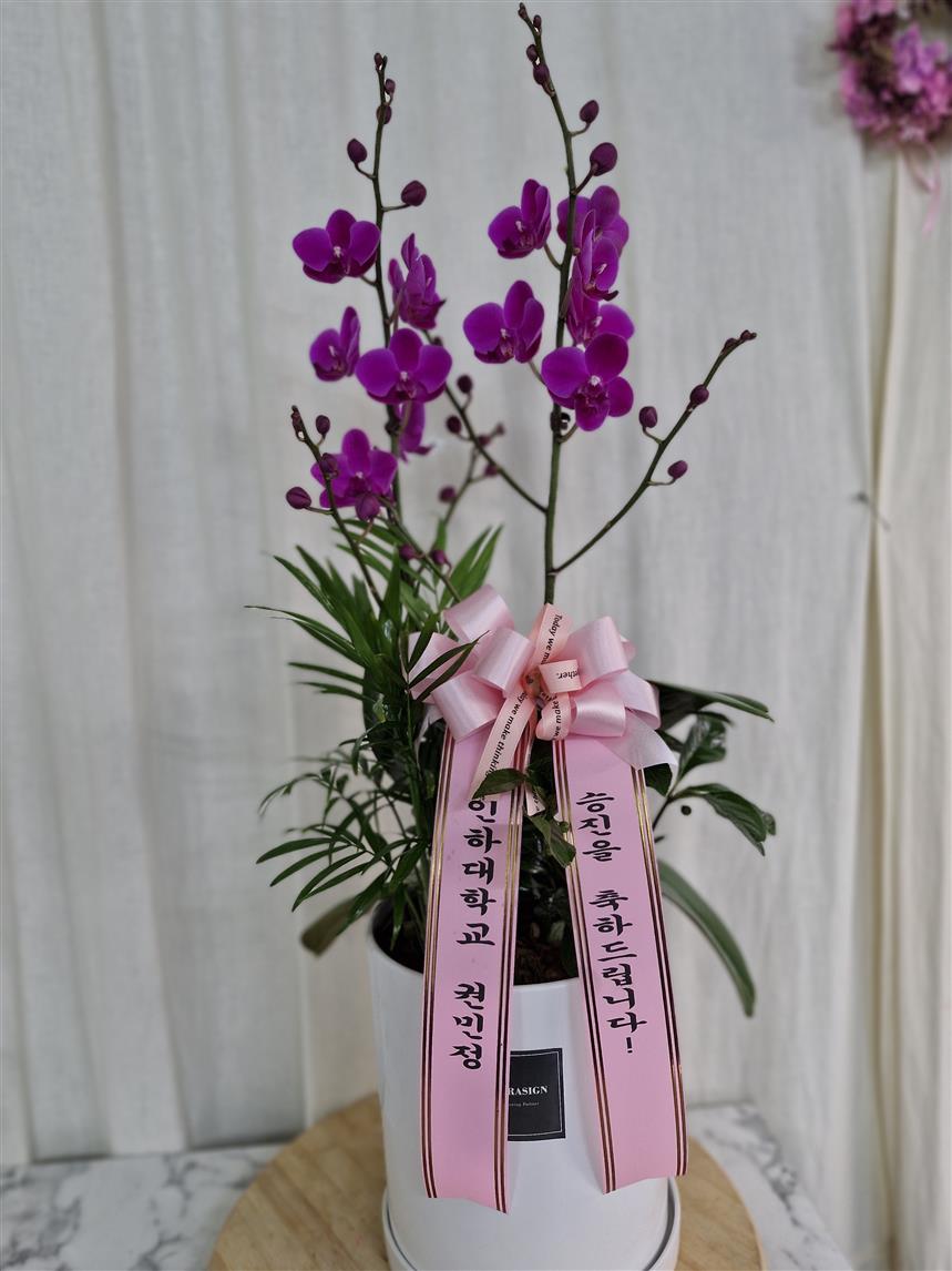 배송사진2