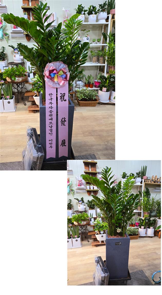 배송사진
