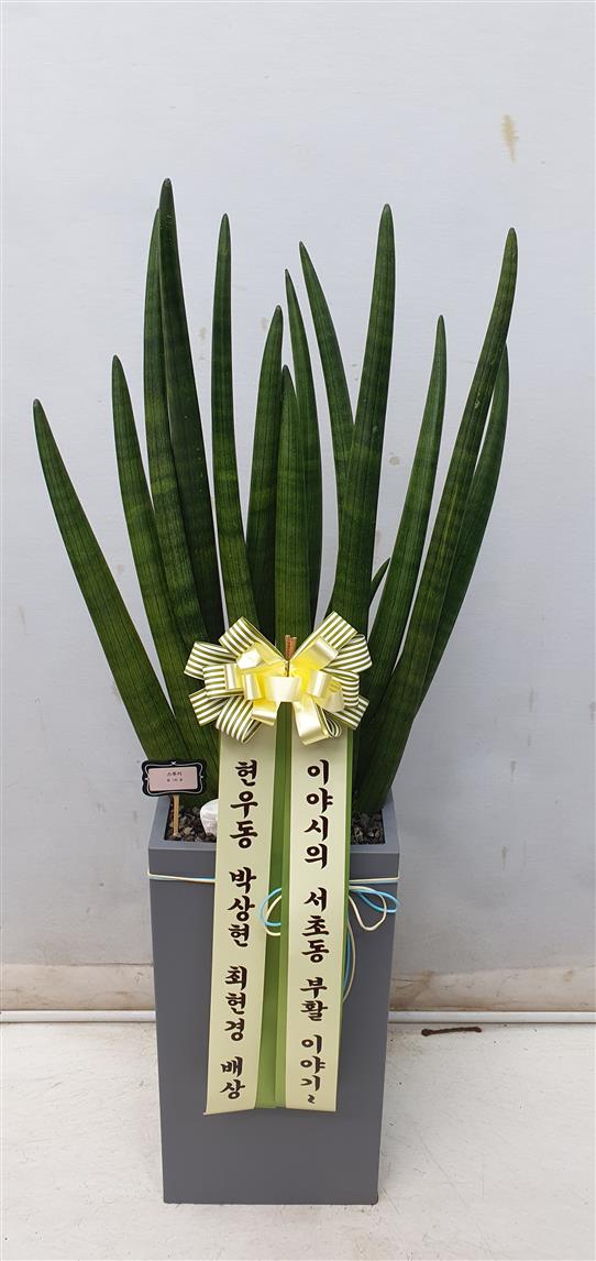 배송사진2