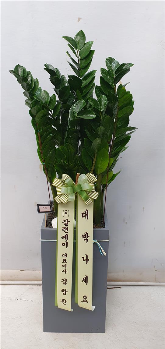 배송사진2