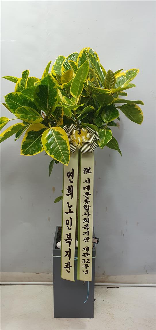 배송사진2