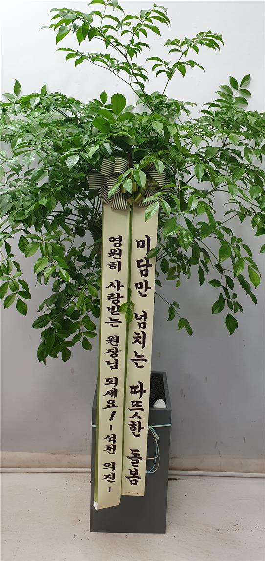 배송사진2