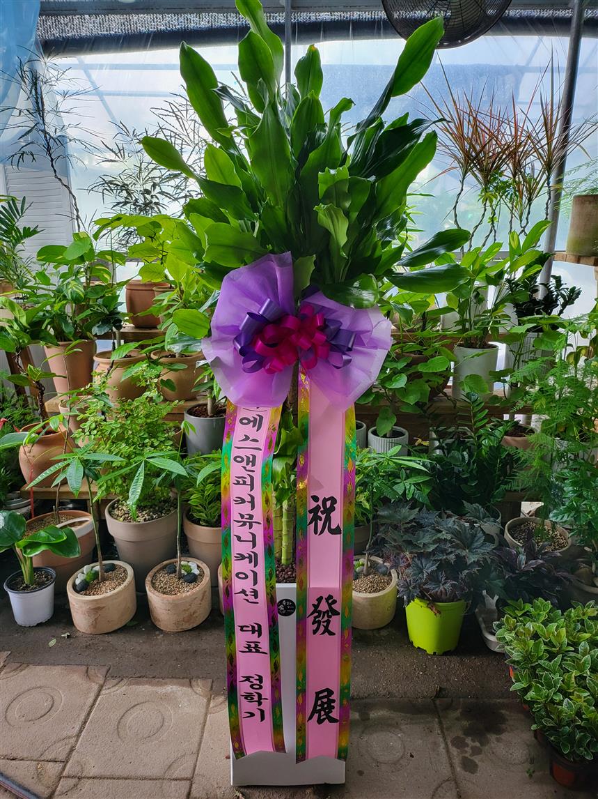 배송사진2