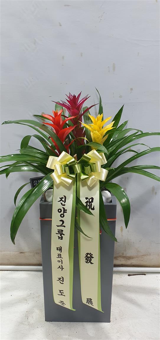 배송사진2