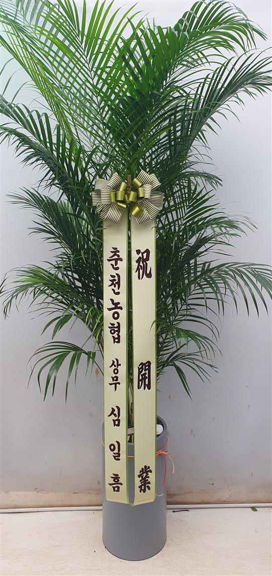 배송사진2