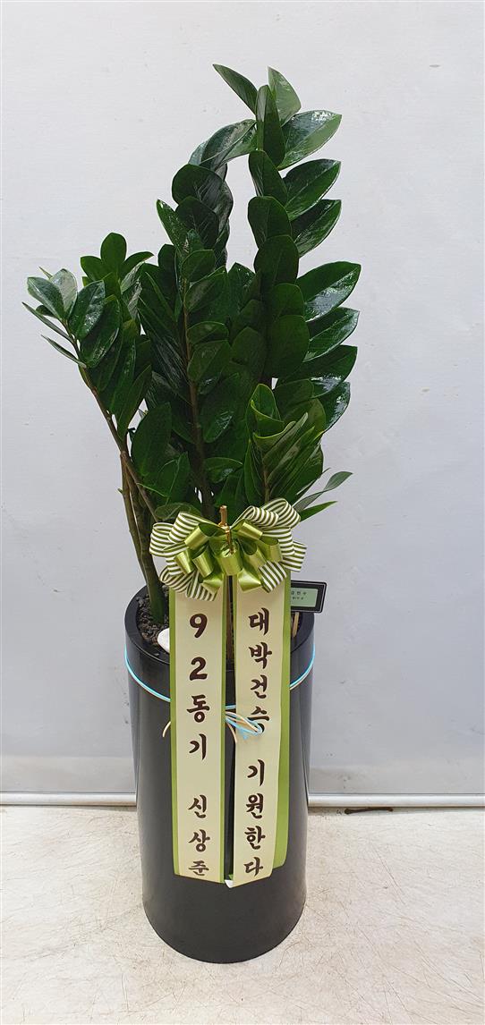 배송사진2
