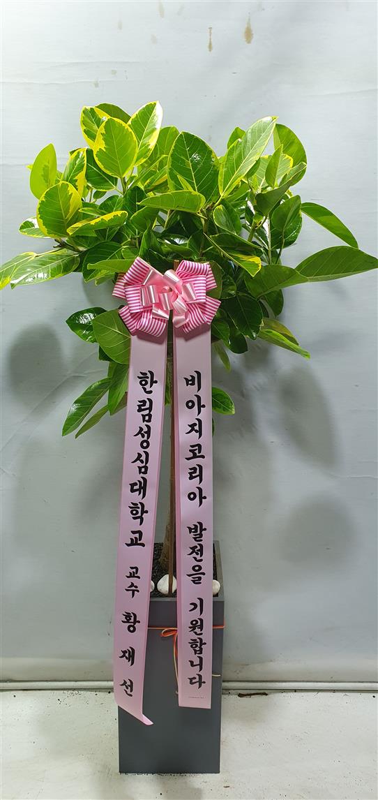 배송사진2