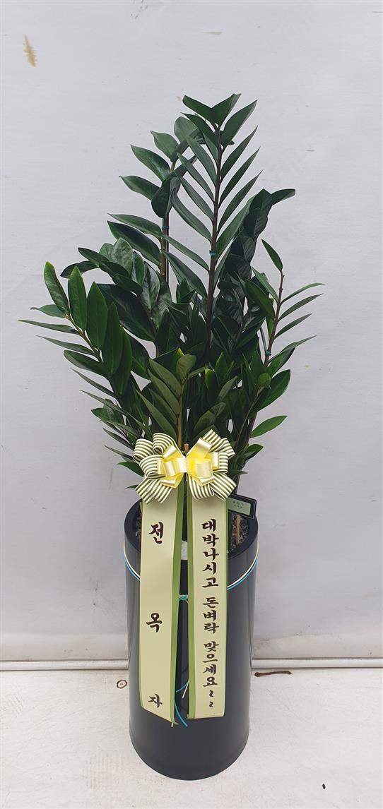 배송사진2