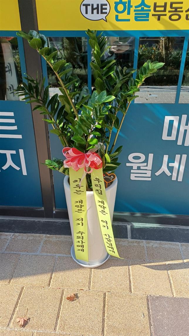 배송사진