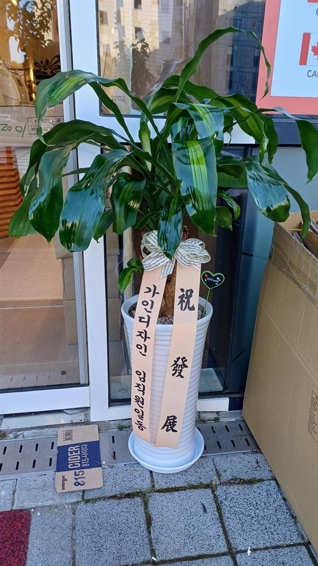 배송사진