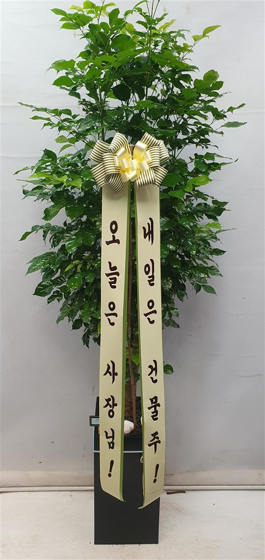 배송사진2