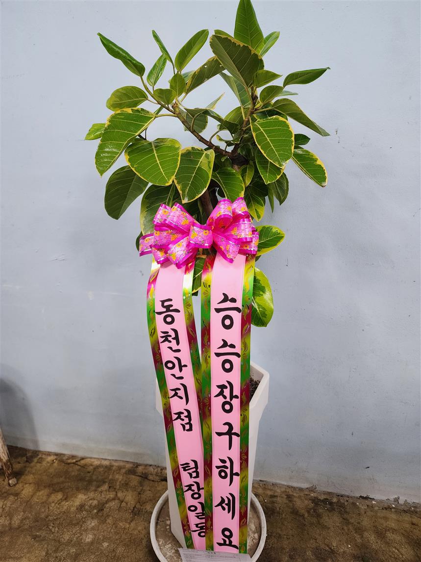 배송사진