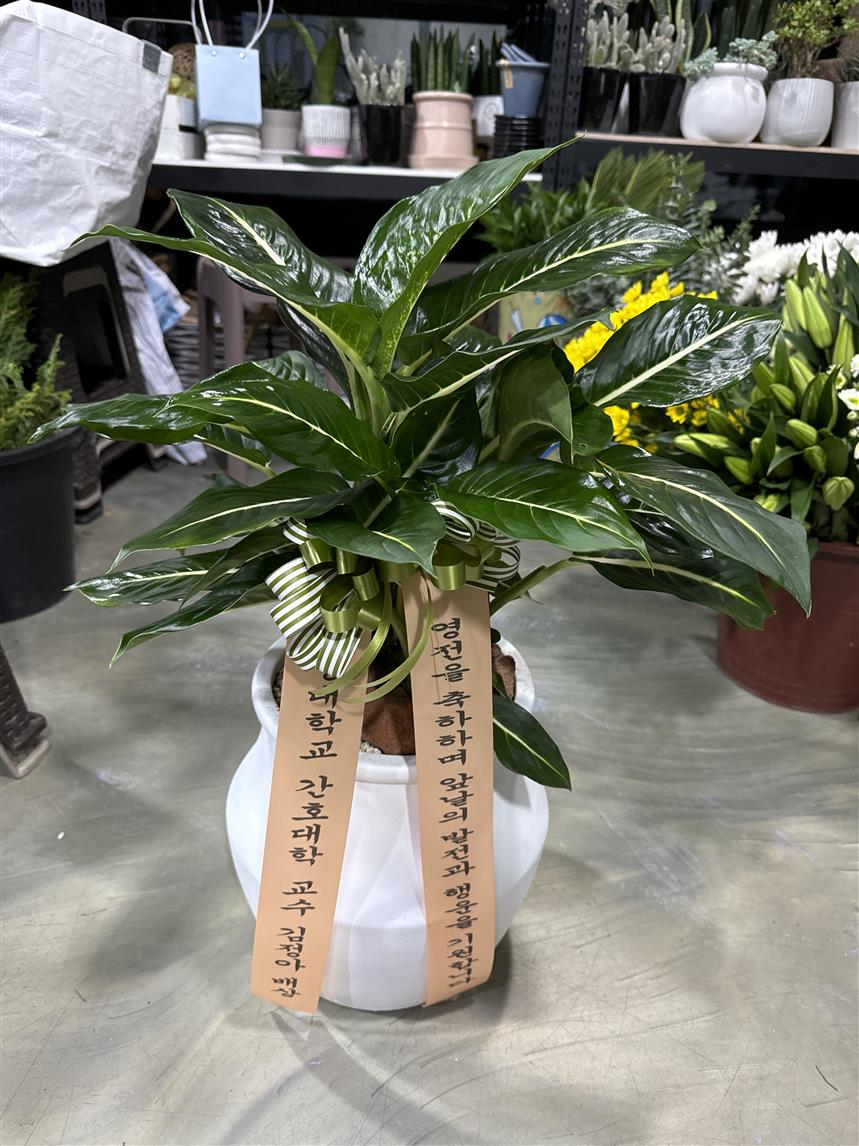 배송사진2