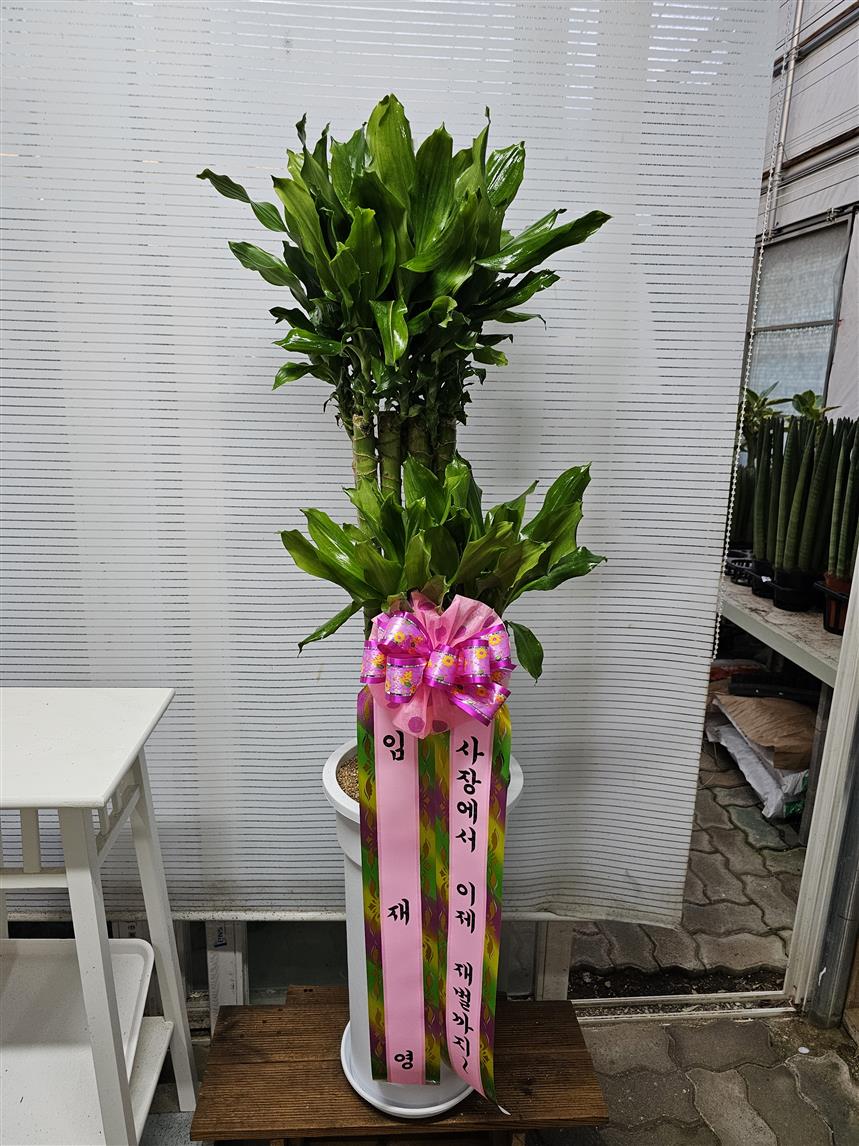 배송사진2