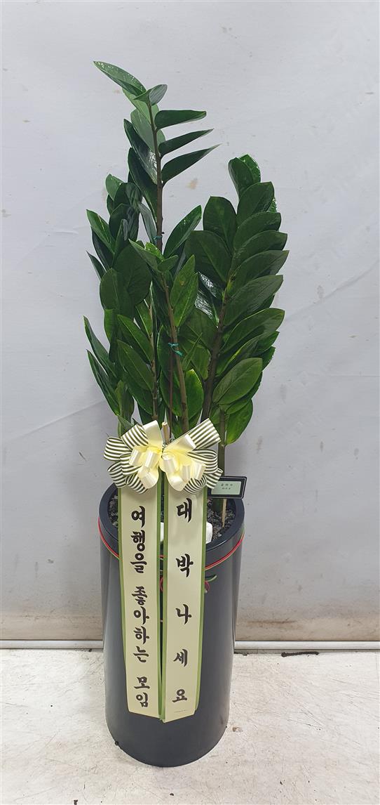 배송사진2
