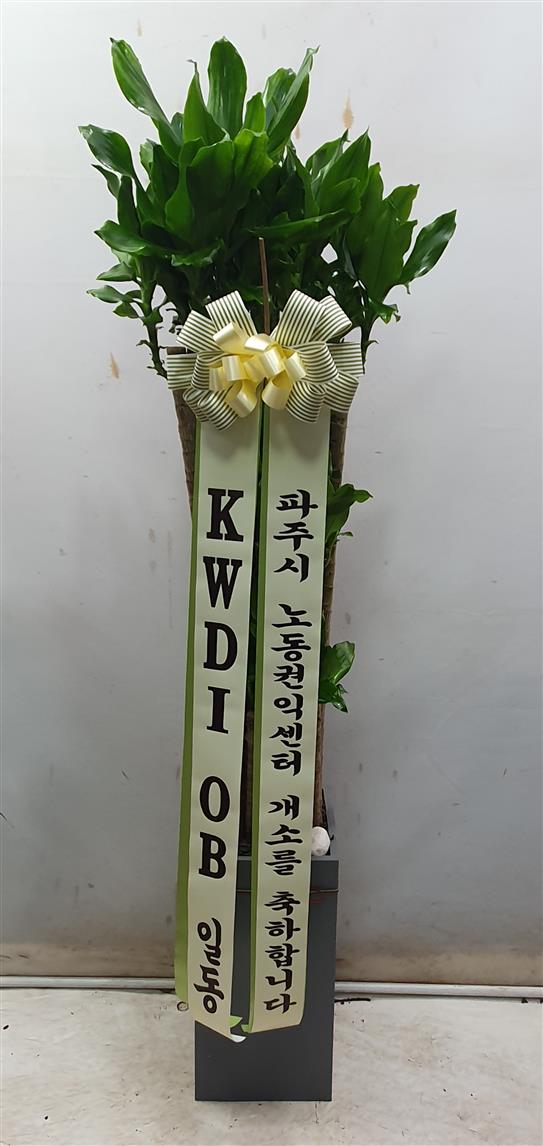 배송사진2