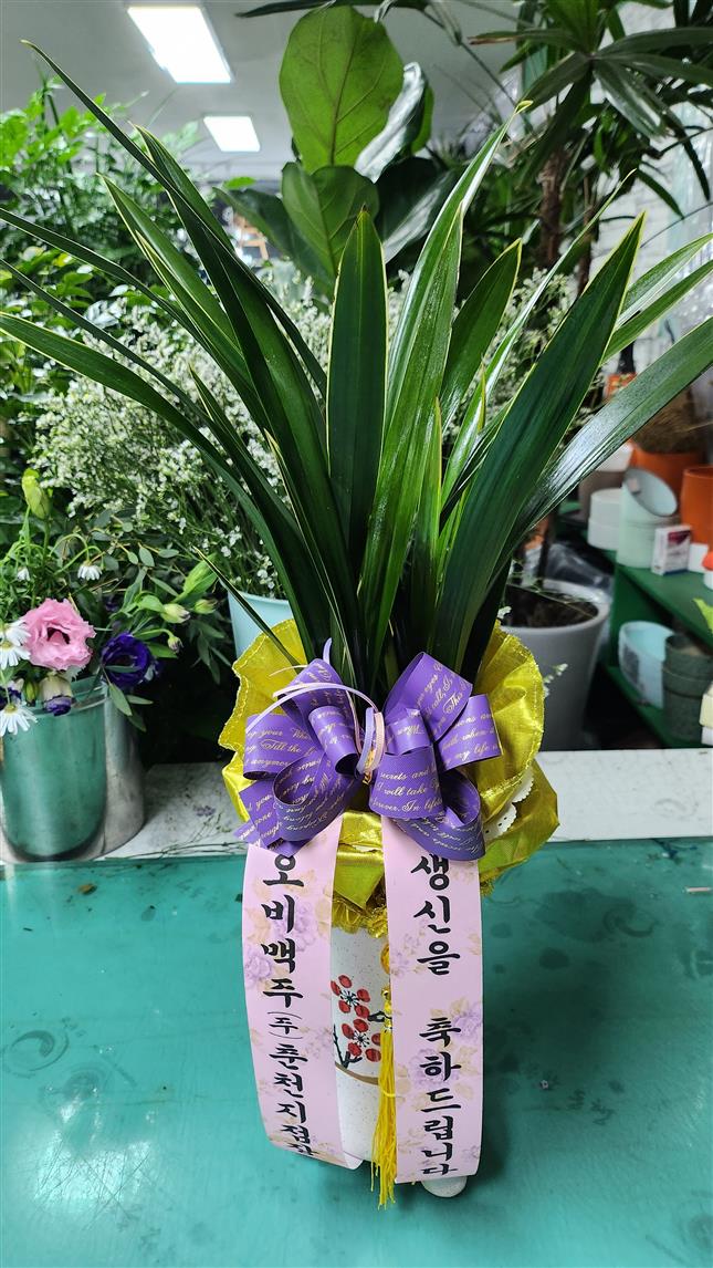배송사진
