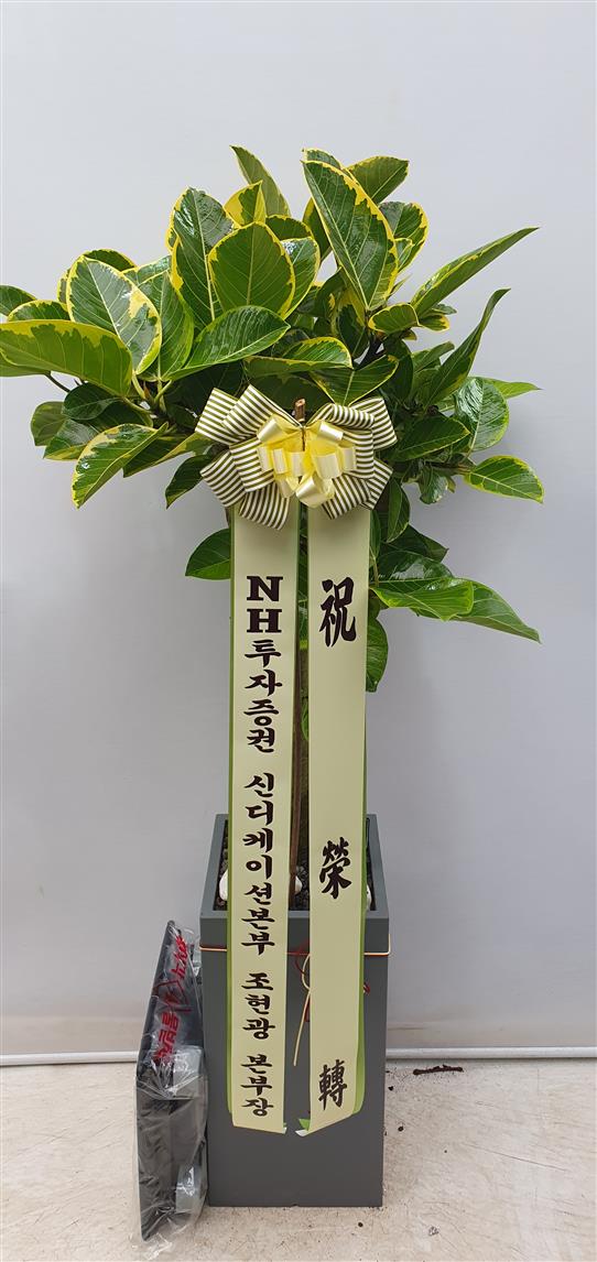 배송사진2