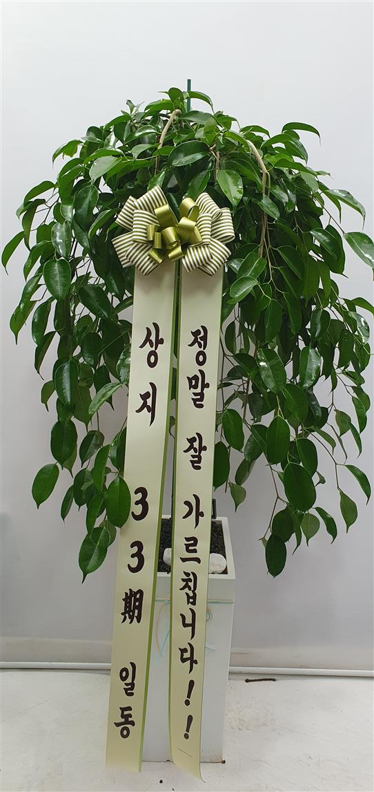 배송사진2